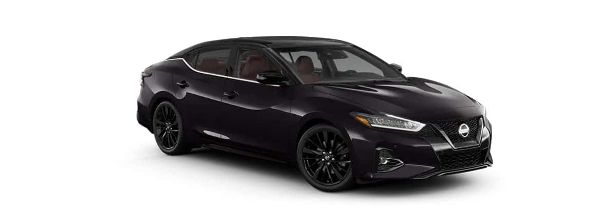 Ruby Slate Gray Pearl / Super Black