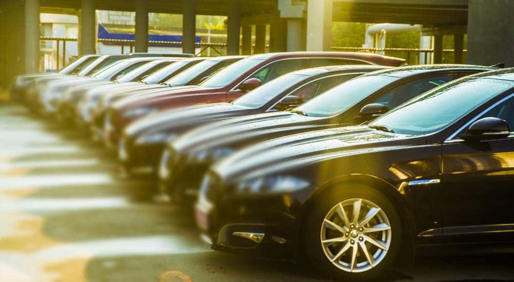 Cars are all parked in a row at a car dealership near Atlanta, GA.