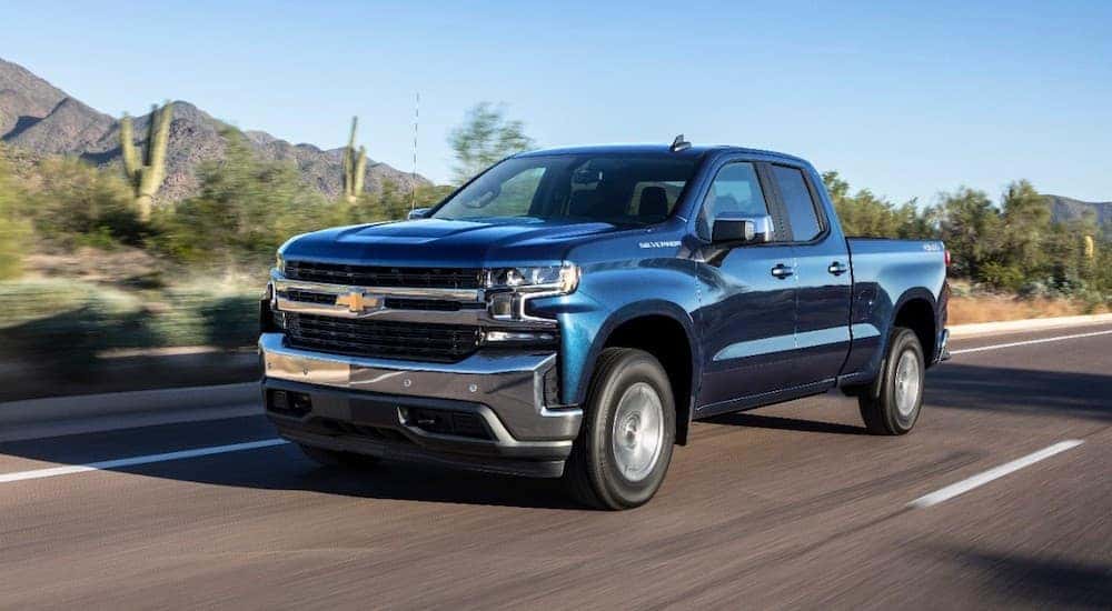 A blue 2019 Used Chevy Silverado is driving past desert shrubs.