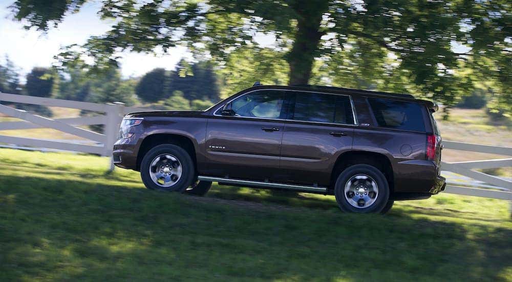 A purple 2015 Chevy Tahoe Z71 is shown driving past a tree.