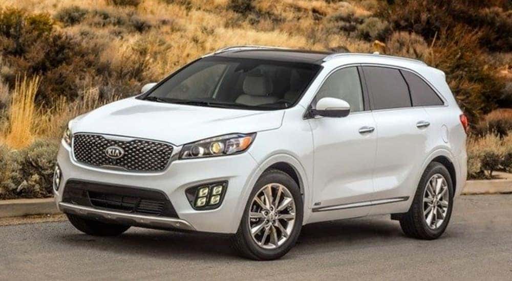 A white 2017 Kia Sorento from a used car dealership near you is shown parked in front of dry grass.