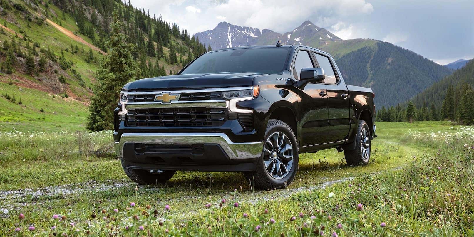 A black 2022 Chevy Silverado 1500 is shown parked in a grassy field.