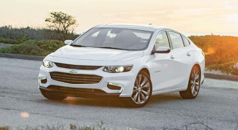 A white 2019 Chevy Malibu is shown from the front parked at sunset after leaving a used Chevrolet dealer in Atlanta.
