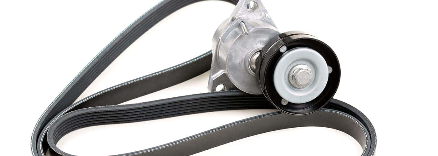 Common Signs Your Drive Belt Needs Replacement