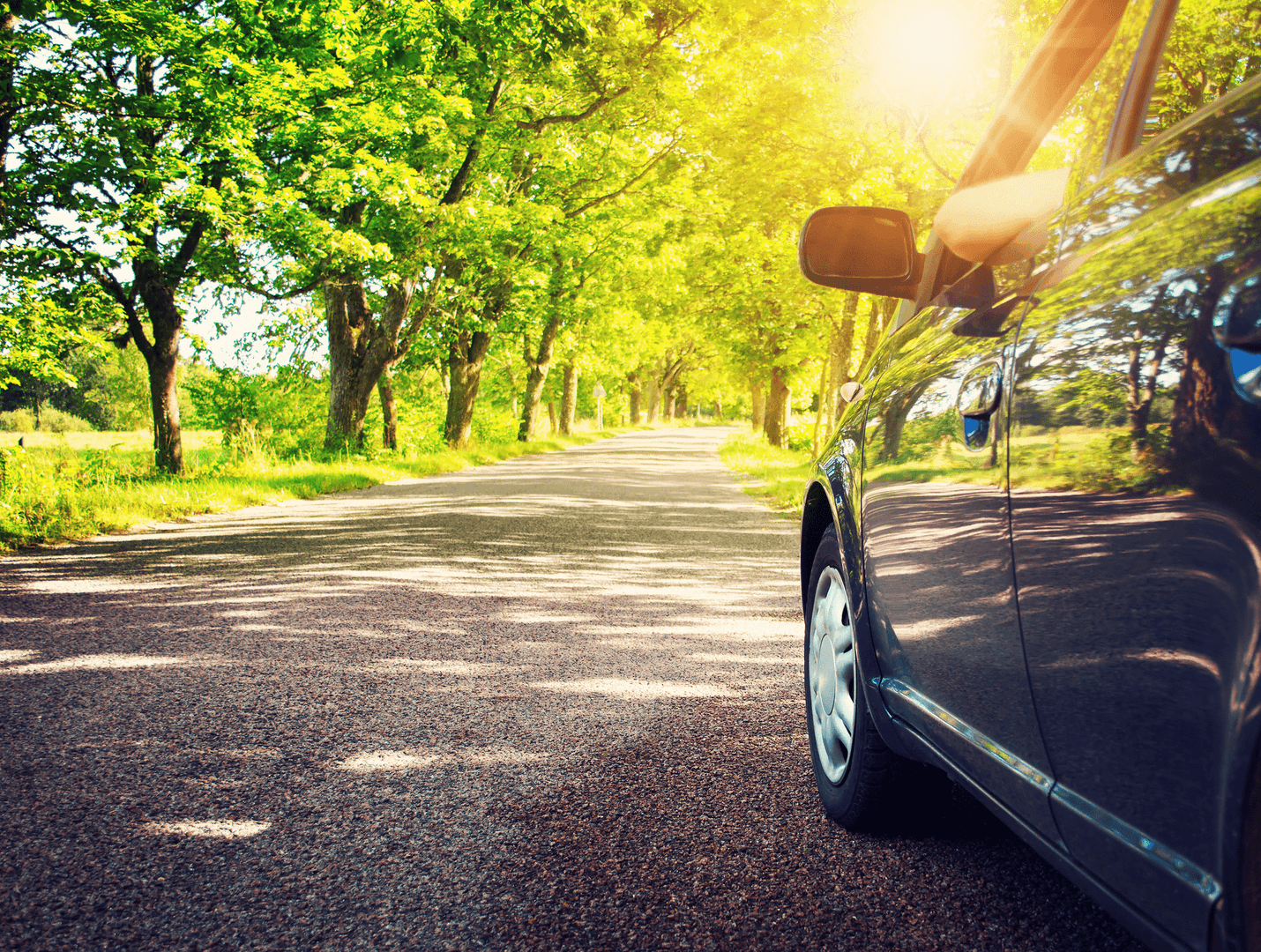 A car driving through a sunny area surrounded by trees