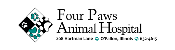 halloween logo