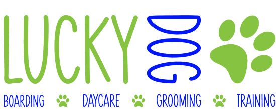 halloween logo