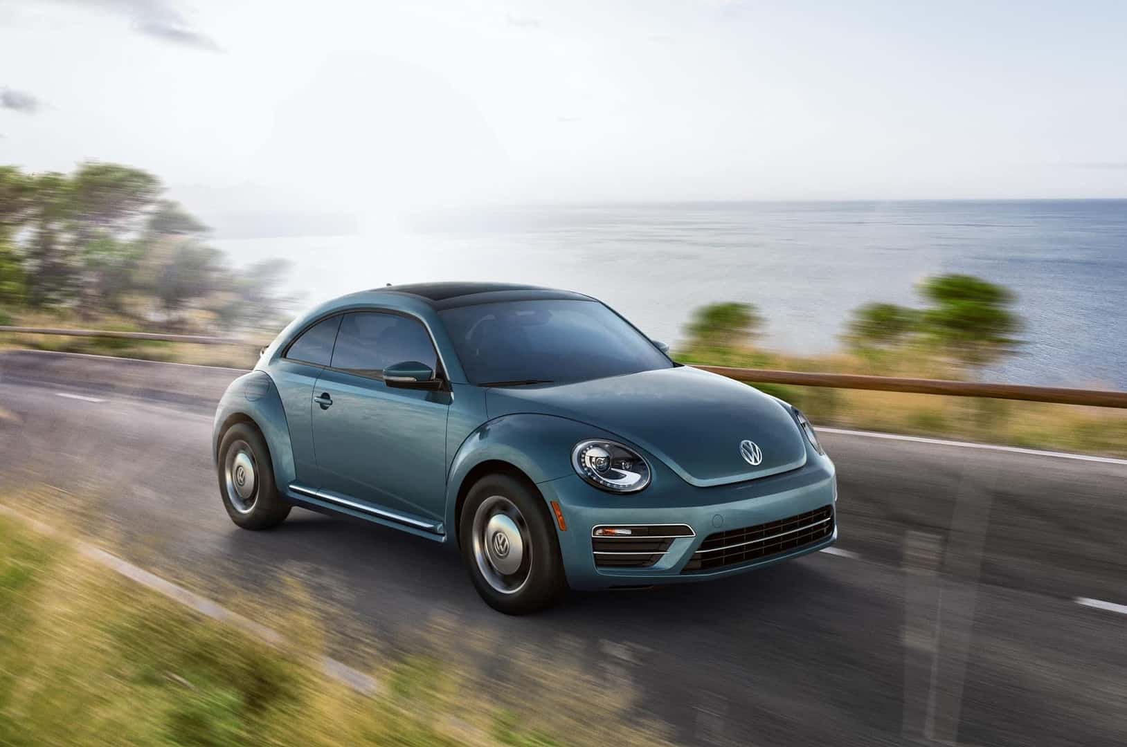 the volkswagen beetle