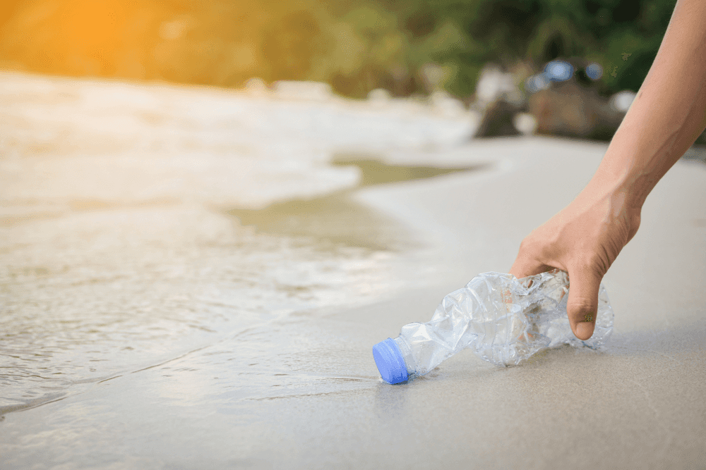 Cleaning Plastic from Beach