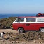 Safety Tips for Traveling with Your Pets