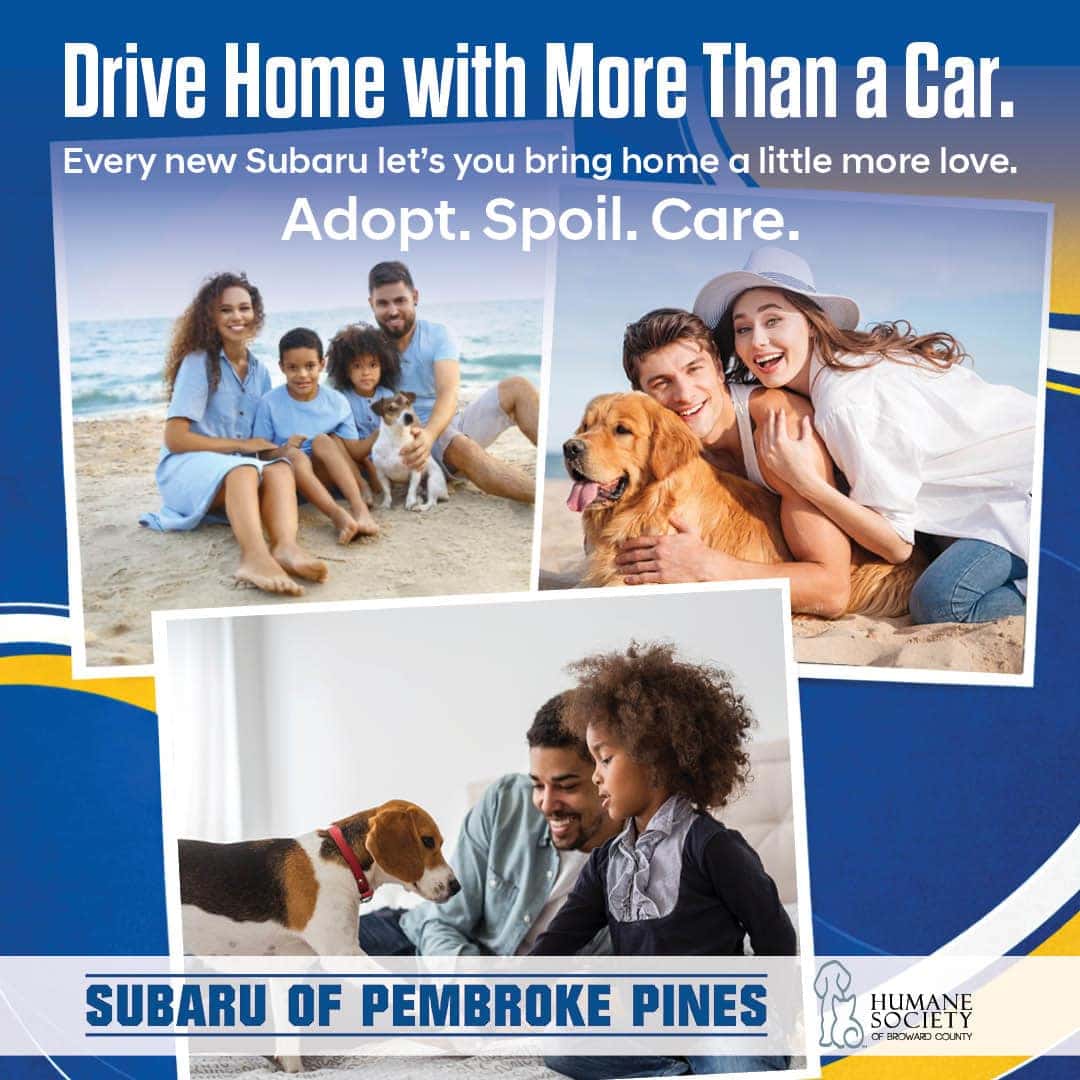Humane Society of Broward County Gift Card — up to $350 value