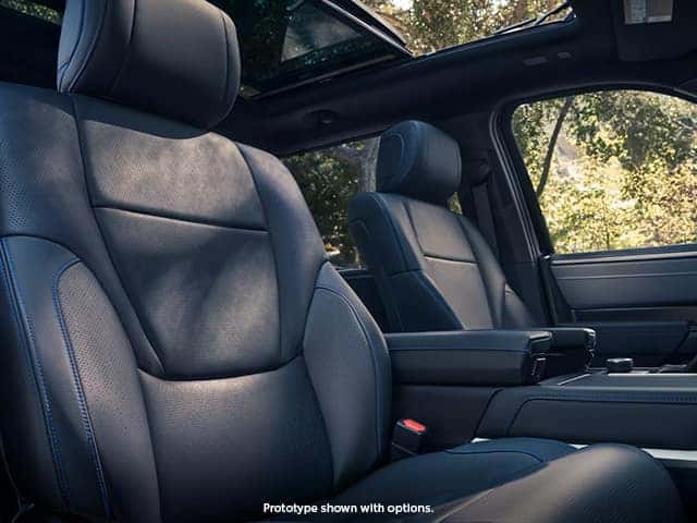 tundra interior beauty