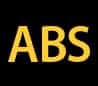 ABS Warning Light