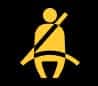 The Person & Seatbelt Light