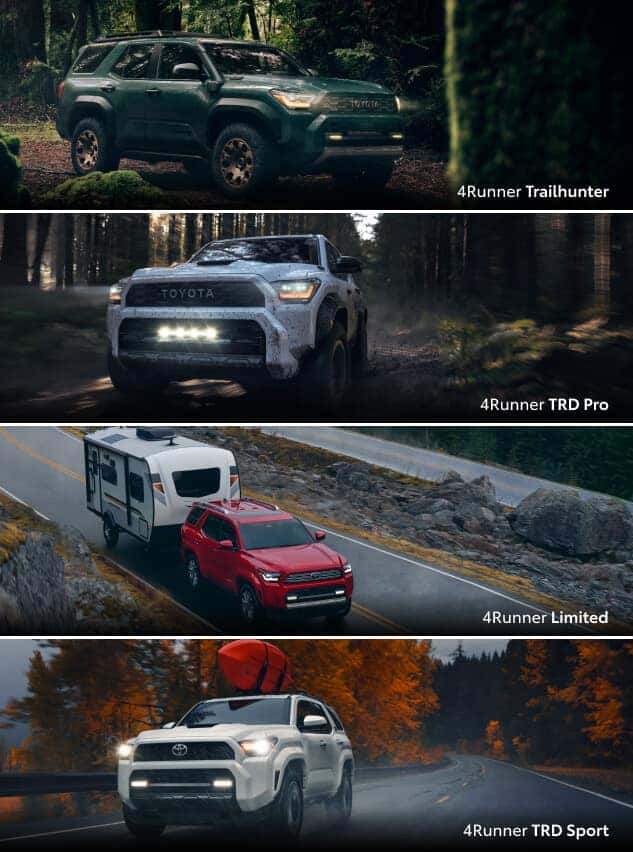2025 Toyota 4Runner Colors & Trim Configurations: Trimv