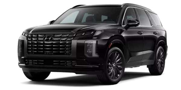2025 Hyundai Palisade Calligraphy Night