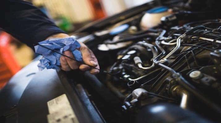 Certified Service Technician checking a vehicle's oil levels